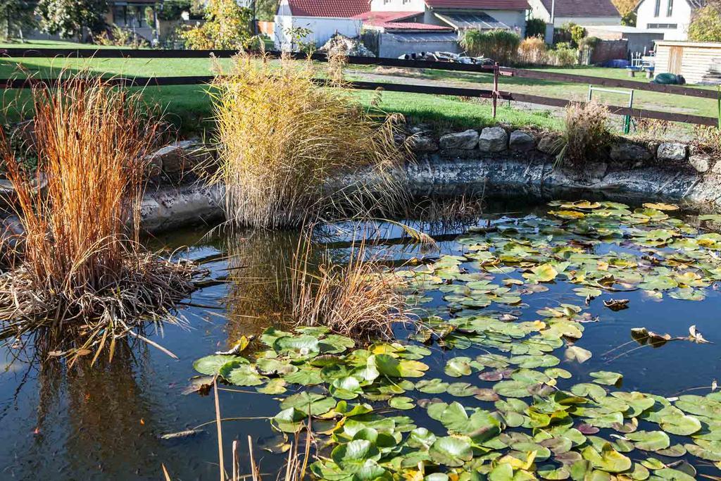 Agropenzion U Bartousku Malikovice Экстерьер фото